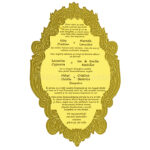 AWI-Glamorous Golden Mirror Acrylic Wedding Invitation 9321